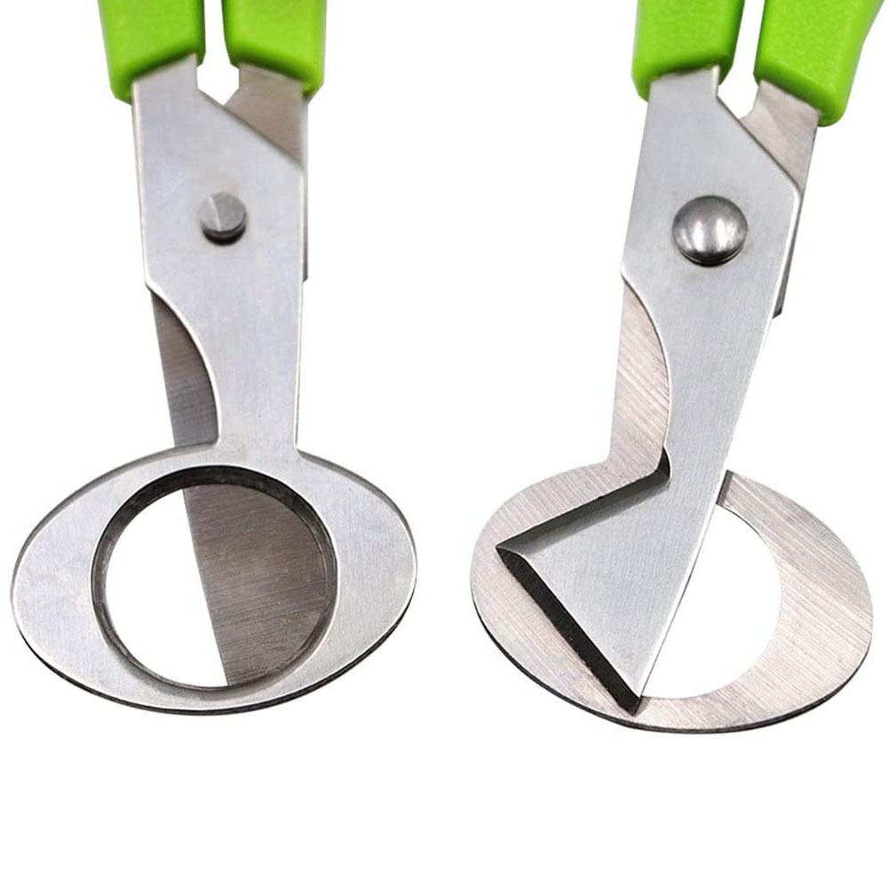 3 Chim Cút Máy Đánh Trứng Kéo  - đánh giá và giá Kitchen Shears In Baking