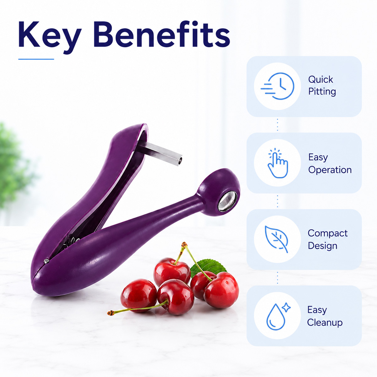 Cherry Kernel Remover Handheld - đánh giá và giá Kitchen And Baking Tools